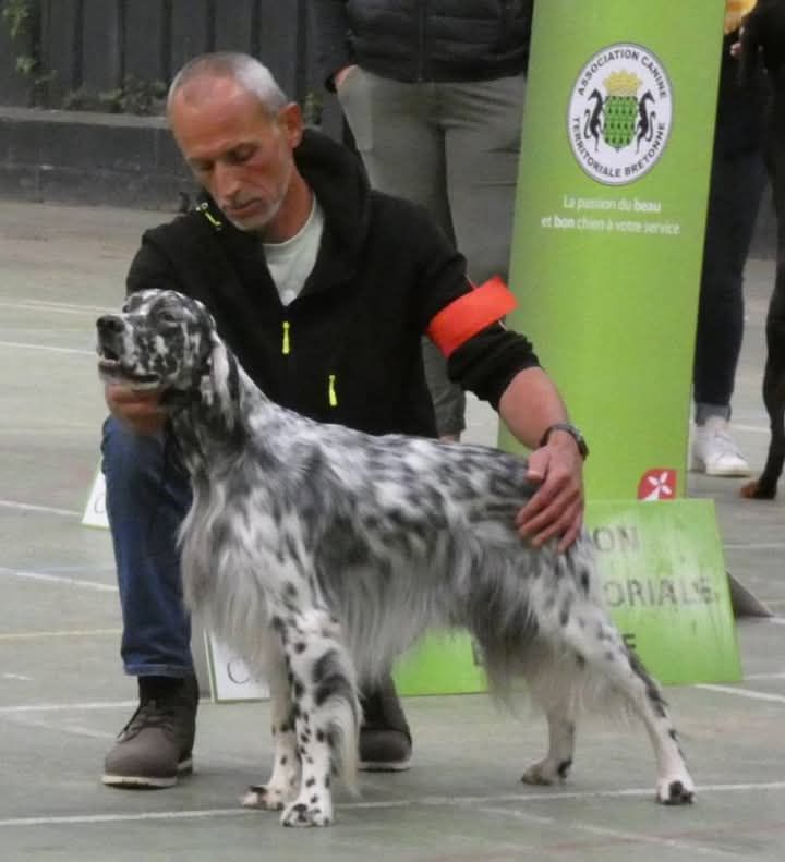 RÉSULTATS D EXPOSITION St BRIEUC